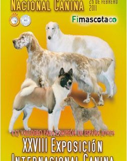 XXVIII Exposición Canina Internacional de Valladolid.
