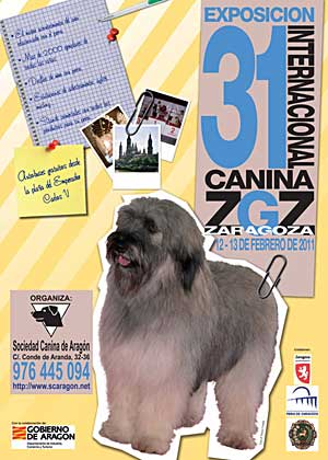 XXXI Exposición Internacional Canina de Zaragoza.