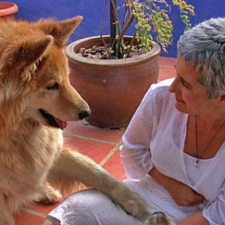 Próximos Cursos de Animal Communicator, Málaga y Granada.