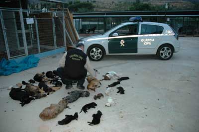 Parque Animal, Torremolinos. Buscando la verdad.