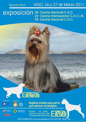24 Exposición Canina Internacional de Vigo.