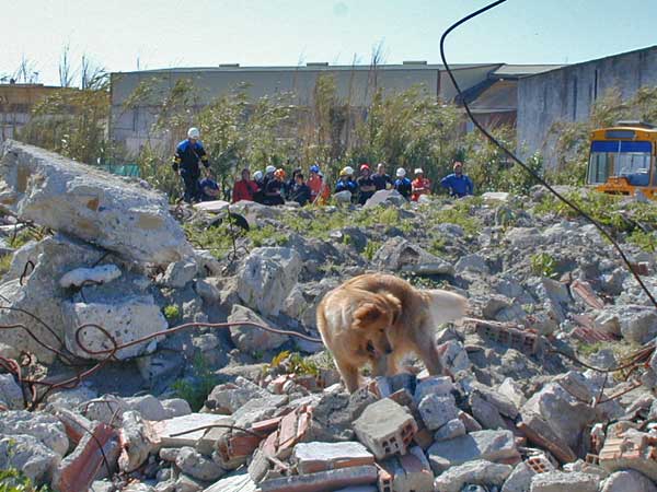 Importante reunión del Presidente de Melilla y el del Centro UNESCO con el Método Arcón.