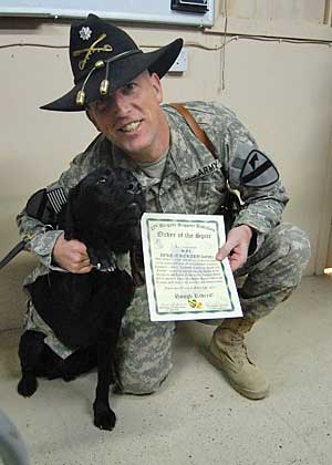 Un perro militar, galardonado con la Orden de la Espuela.