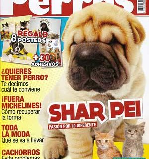 Revista Perros y Compañía, abril de 2011.