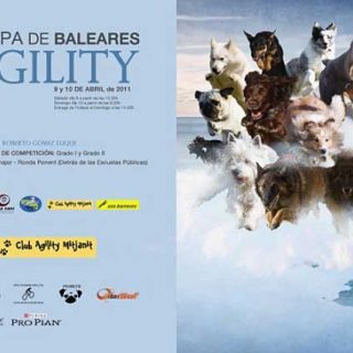 II Copa de Baleares de Agility.