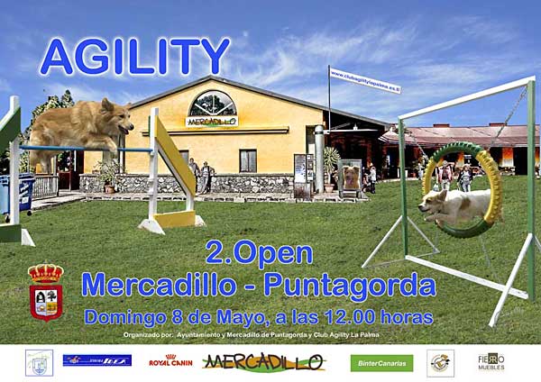 Segundo Open de Agility del Mercadillo de Puntagorda.