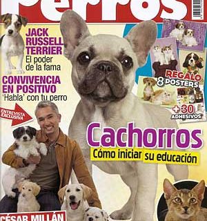 Revista Perros y Compañía, mayo de 2011.