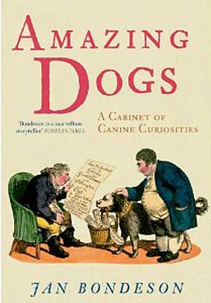 "Amazing Dogs: A Cabinet of Canine Curiosities".