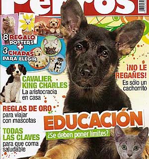 Revista Perros y Compañía, junio de 2011.