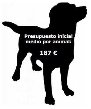 Resultados del XXIII Estudio Fundación Affinity sobre el Abandono de Animales de Compañía.