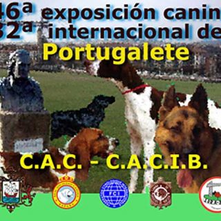 Exposición Canina Internacional de Portugalete, horarios, cómo llegar, premios especiales...