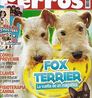 Revista Perros y Compañía, julio de 2011.