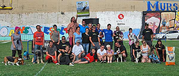 Dog frisbee. Ashely Whippet Qualifier Spain. Trofeo Caninu.