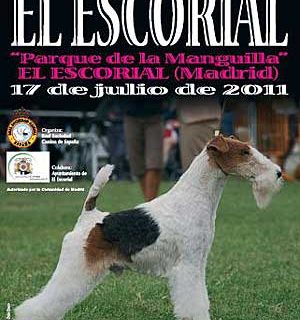 Concurso Nacional Canino, El Escorial 2011.