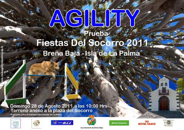 El próximo 28 de agosto, domingo, a partir de las 10 de la mañana, se celebrará una prueba de agility en honor de de las Fiestas del Socorro -Breña Baja- Isla de La Palma.