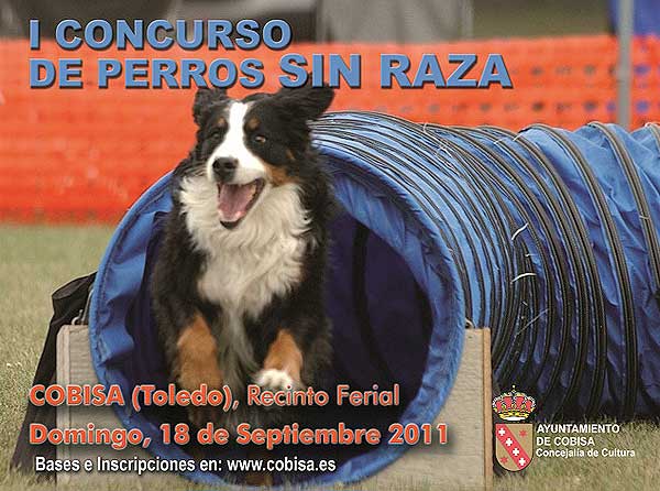 Concurso de perros sin raza, exhibición de obediencia y agility (Morecan), rifa benéfica... En Cobisa (Toledo).