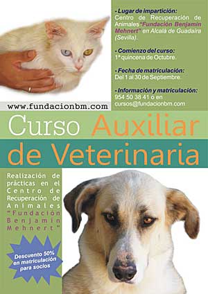 Curso de Auxiliar Veterinario con la Fundación Benjamín Mehnert de recuperación de galgos maltratados.