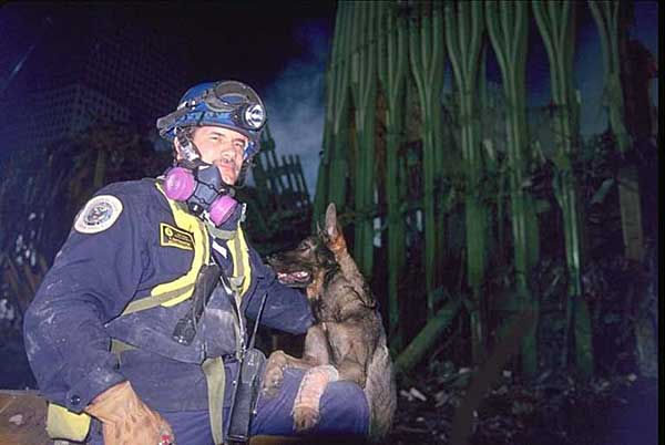 Los perros de rescate del 11-S y su salud.