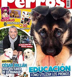 Revista Perros y Compañía, octubre de 2011.