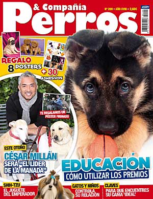 Revista Perros y Compañía, octubre de 2011.