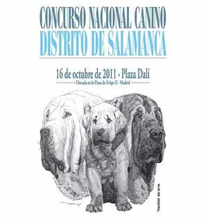 XII Concurso Canino Plaza de Dalí, Madrid.