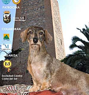 XXV Exposición Canina Internacional de Vélez Málaga.