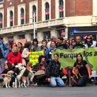 Animalistas contra la nueva Ley de Protección Animal de Madrid .