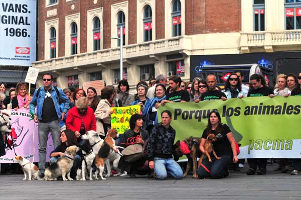 Animalistas contra la nueva Ley de Protección Animal de Madrid .