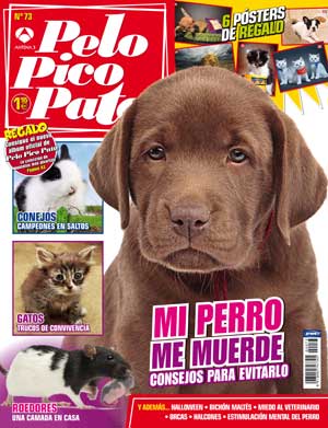 Revista Pelo Pico Pata, noviembre de 2011.