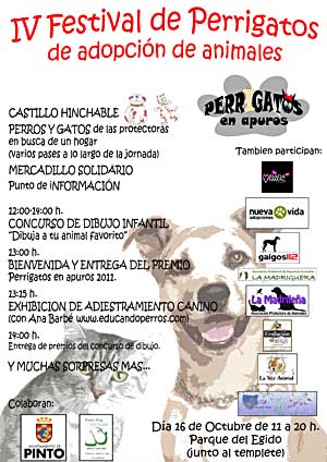 Perrigatos, festival de adopción.