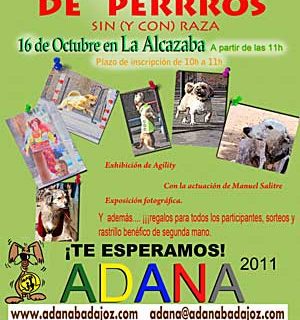 Concurso de perros sin raza, ADANA Badajoz.