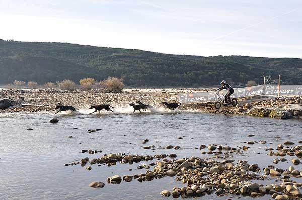 Un centenar de participantes se han citado ayer sábado en la localidad catalana de Vallgorguina para tomar parte en la primera manga del Campeonato de España de Trineos con Perros “Gran Premio Advance”. Catalanes, cántabros y navarros dominan la primera manga.