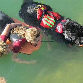Curso de rescate canino en agua con el Grupo de Rescate Mare Nostrum en colaboración con el Club Español Del Terranova CETR, y la Escuela Canina De La Federación De Asociaciones Para El Fomento y Conservación De Las Razas Caninas Puras.