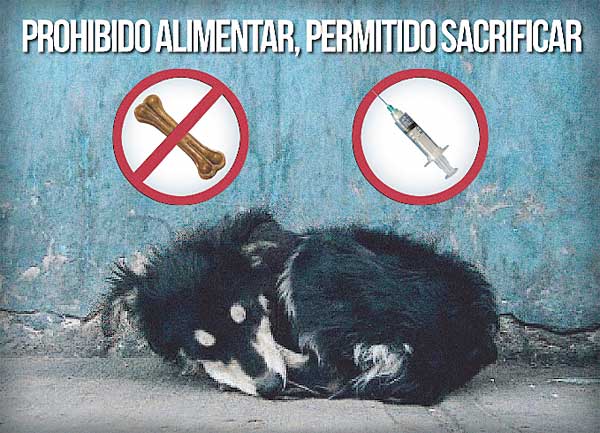 Por el sacrificio cero de animales en Madrid.