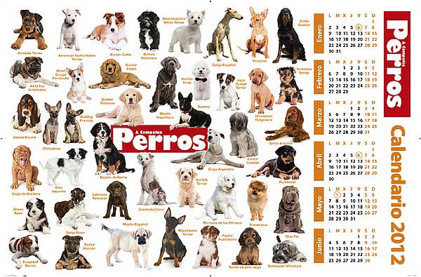 Calendario 2012 de perros, con la revista Perros y Compañía.