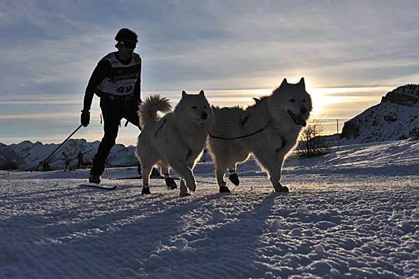 Pirena Advance apoya la candidatura Barcelona-Pirineo para los Juegos Olímpicos de 2022.