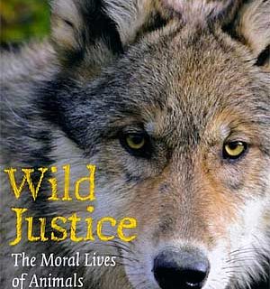 "Wild Justice" es un libro de Marc Bekoff en el que se explora la moral, el altruismo, la tolerancia... en diferentes grupos de animales.