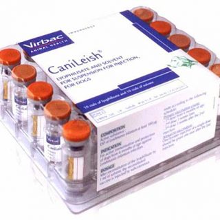 La vacuna contra la lishamniosis canina se comercializa en España desde ayer 25 de enero de 2012.