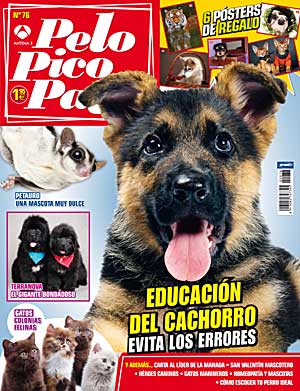 Pelo Pico Pata: raza principal el Terranova, en educación "Evitar errores en la educación del cachorro" (por Virginia Galego), belleza con la Eukanuba World Challenge, cómo encontrar el perro ideal, perros detectores.