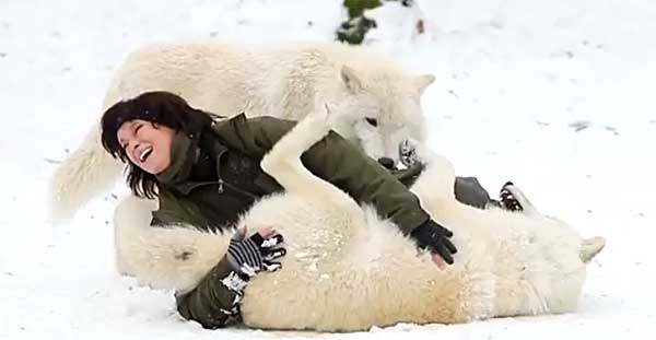Tanja Eskani viajo en 2010 a Canadá. De allí trajo a Naaja, una cachorrita de lobo... (vídeo).