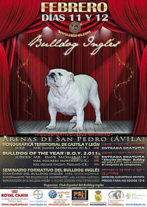 Monográfica bulldog en Arenas de San Pedro 2012.