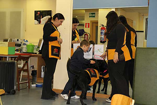 "Enseñar a leer a Conguito", programa de terapia asistida con perros de Dogtor Animal.