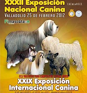 Exposición Canina de Valladolid.