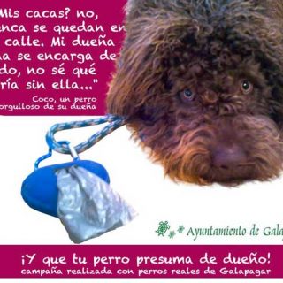 Iniciativa del Ayuntamiento de Galapagar para concienciar de la recogida heces. En lugar de recurrir a los métodos sancionadores tan habituales, han creado "¡Y que tu perro presuma de dueño"!