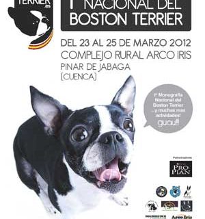Primera Concentración Nacional del Boston Terrier del 23 al 25 de marzo próximos en el Complejo Rural Arco Iris (Pinar de Jábaga, Cuenca).