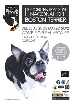 Primera Concentración Nacional del Boston Terrier del 23 al 25 de marzo próximos en el Complejo Rural Arco Iris (Pinar de Jábaga, Cuenca).