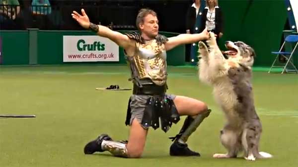 Crufts no sólo es controvertidas exposiciones de belleza, también hay agility con perros rescatados y una de las competiciones de HTM más espectaculares del mundo.