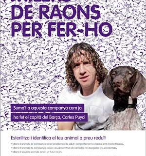 Campaña de esterilización en Cataluña con grandes descuentos.