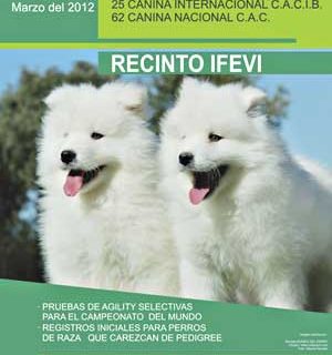 Exposición Internacional Canina de Vigo y pruebas selectivas de Agility, horarios, cómo llegar...