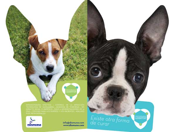 Leishtop es una nueva autovacuna para perros positivos en Leishmania que reduce la gravedad de los signos clínicos.